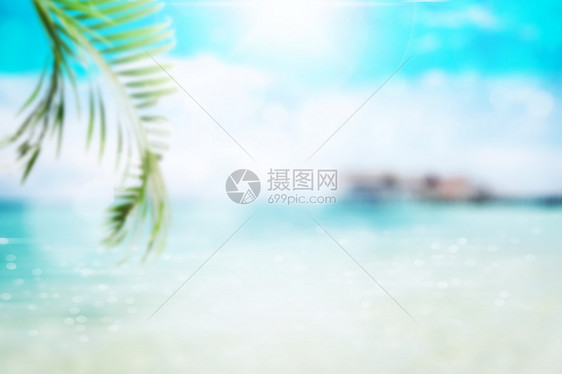 海边沙滩夏日椰树图片