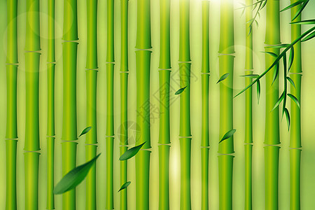 翠竹背景图片