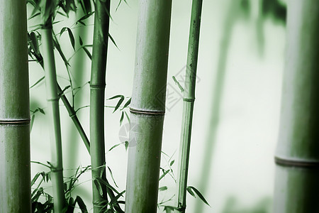 大气中式竹纹背景图片