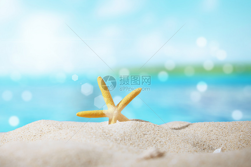大气海星唯美海滩背景图片