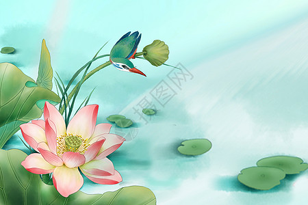 翠鸟夏季荷花背景设计图片