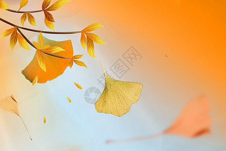 秋日落叶背景设计图片