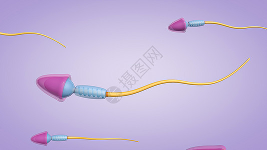 精子细胞图片