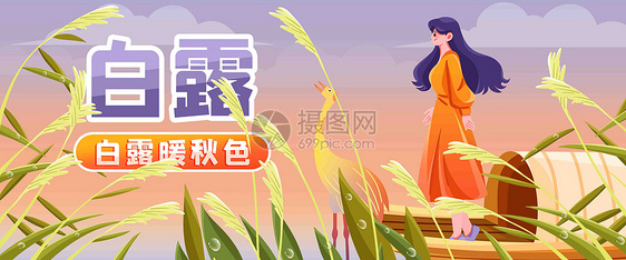 白露插画banner图片