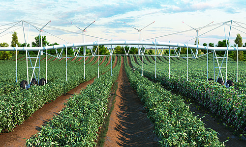 3D自动化农业场景图片