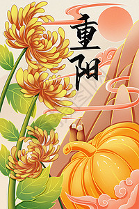 重阳节黄色菊花和老人手绘插画海报图片