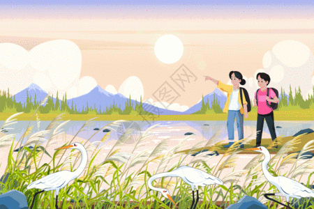 二十四节气白露朋友结伴郊游芦苇湖边遇见白鹭GIF图片