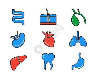 收腰元素蓝色红色绿色器官大肠毛发胆腰心脏肺肝牙齿胃医疗主题医疗矢量元素套图插画