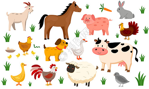 鹅字农业养殖卡通矢量动物插画插画