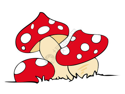 红毒蘑菇图片