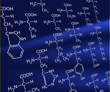 20种氨基酸生命的基础图片