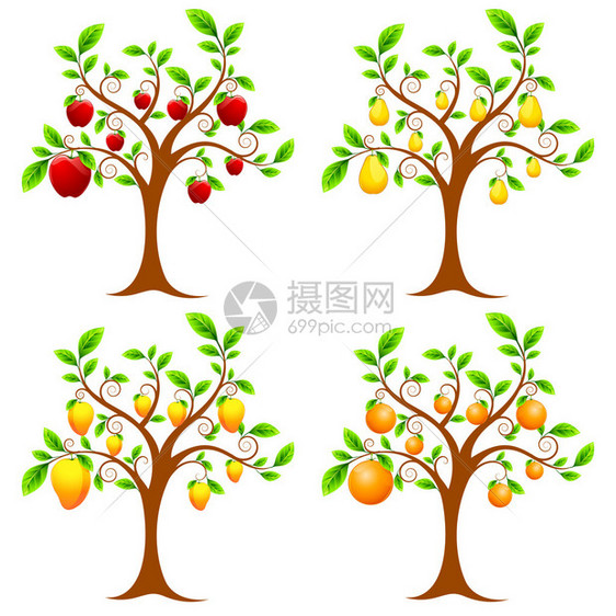 套苹果芒果梨和橙树的插图图片