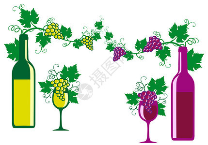 葡萄和叶子的酒矢量图图片