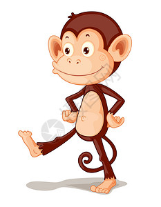 一只猴子在白色的插图图片