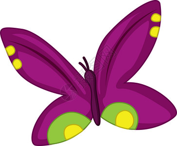 紫色蝴蝶的插图图片