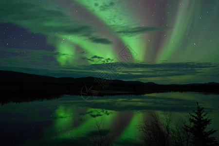 夜天星云和北极光照耀在加拿大领土育空图片