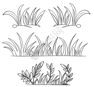 草和植物轮廓的插图图片