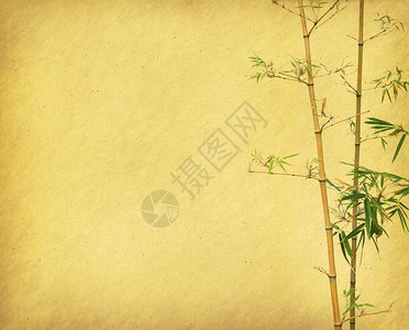 用手工纸质感的竹树设计背景图片