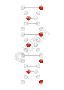 有光泽的DNA分子的插图图片