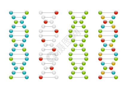 一组有光泽的DNA分子图片