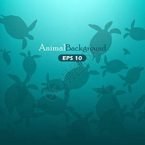 动物背景与绿松石上的海龟图片