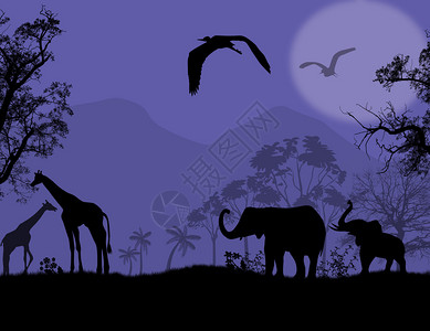 蓝日落时非洲野生动物大象和长颈图片
