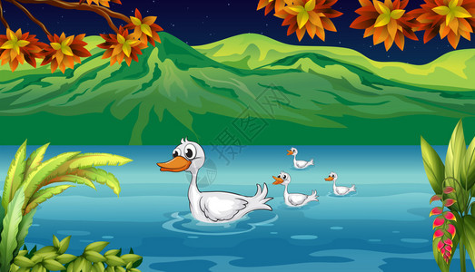 河里的鸭妈和她的小鸭子的插图图片