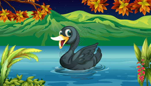一只黑天鹅在湖边的插图图片
