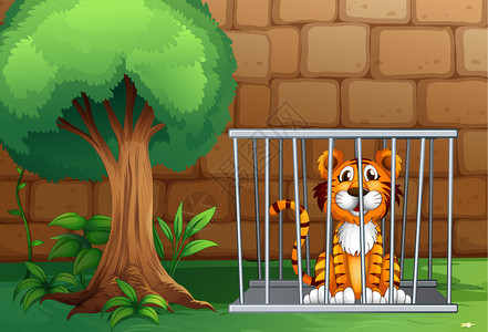 动物笼子里一只老虎的插图图片