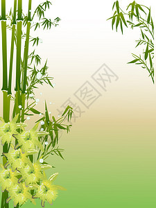 黄色和绿色竹子的插图图片