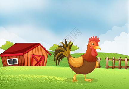 卡塞塔王宫农场里有只公鸡后面有插画