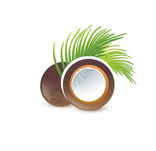 椰子与绿色棕榈叶在白色背景背景图片