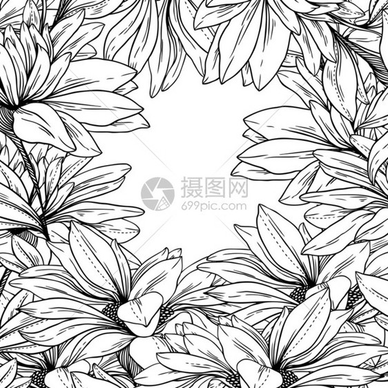 黑白单色花框架图片