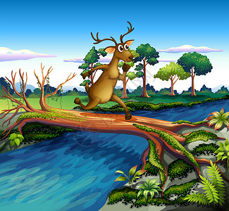 一只鹿过河的插图图片