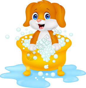 狗洗澡图片