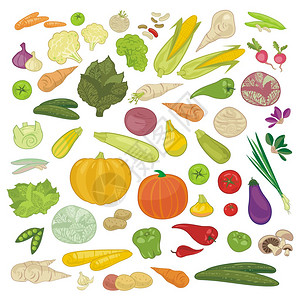 搭配各种时令蔬菜和蔬菜图片