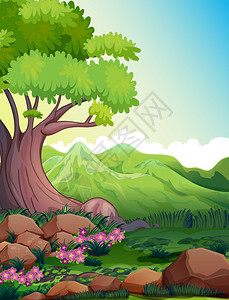森林中一棵大树的插图图片