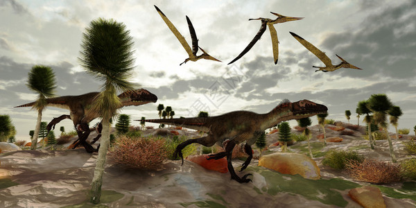三只爬虫恐龙飞来去并观看两只乌他拉杆动物在猎图片