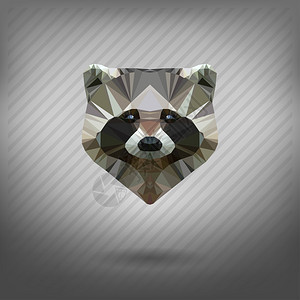 折纸风格的浣熊背景图片