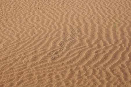 天的沙漠之沙图片