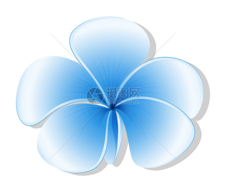 白色背景上新鲜的五瓣蓝色花朵的插图图片