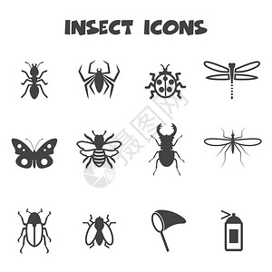 昆虫图标单色符号图片