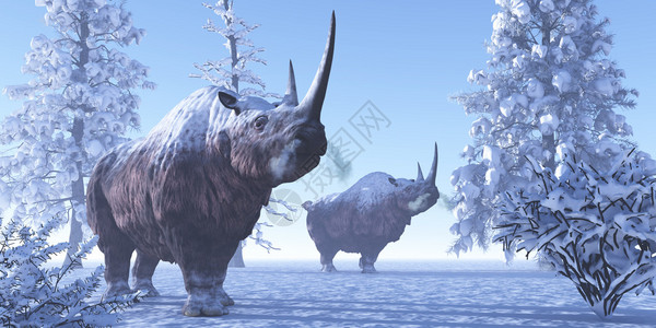 WoollyRhino男在Pleistocene时代的寒图片