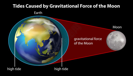 用引力解释潮汐成因的海报图片
