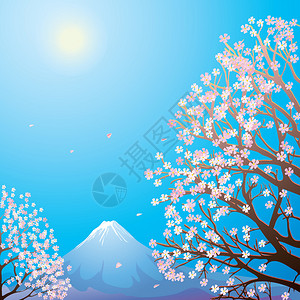 早晨富士山周围的樱花树图片
