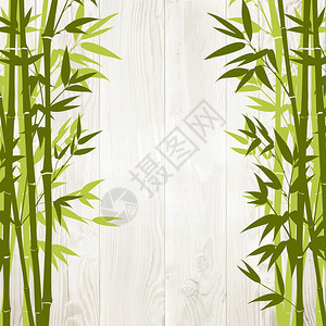 背面木墙上的竹绿色矢量插图图片