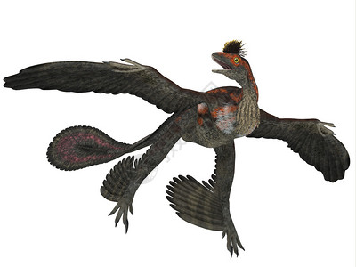 微型捕捉器是一个飞翔的恐龙爬行动物图片
