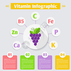 葡萄中维生素和矿物质的信息图表健康生活和健康饮食的图片