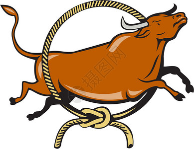 说明德州长角红公牛跳过拉索绳圈图片