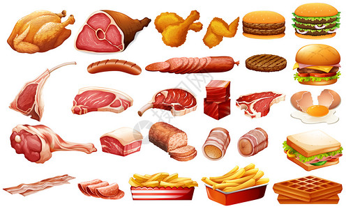 不同种类的肉类和食物插图高清图片
